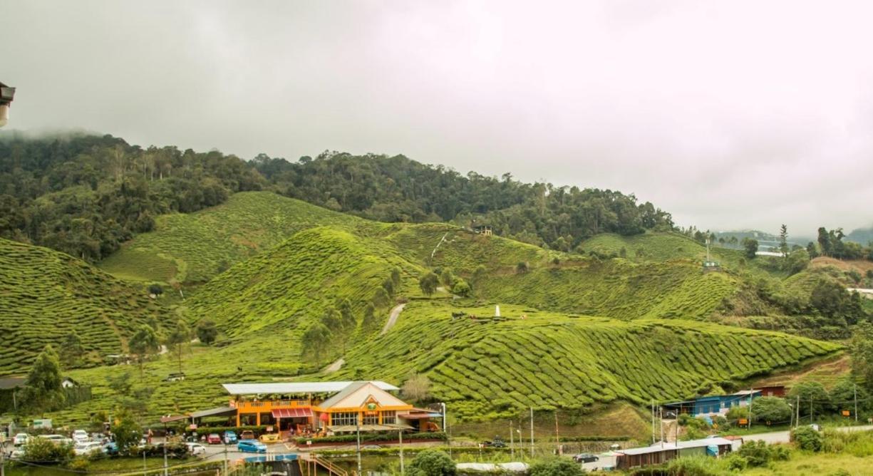 Gorgeous Sunset & Tea Plantation View-Premium Hotel Bed Kampung Kuala Terla Экстерьер фото